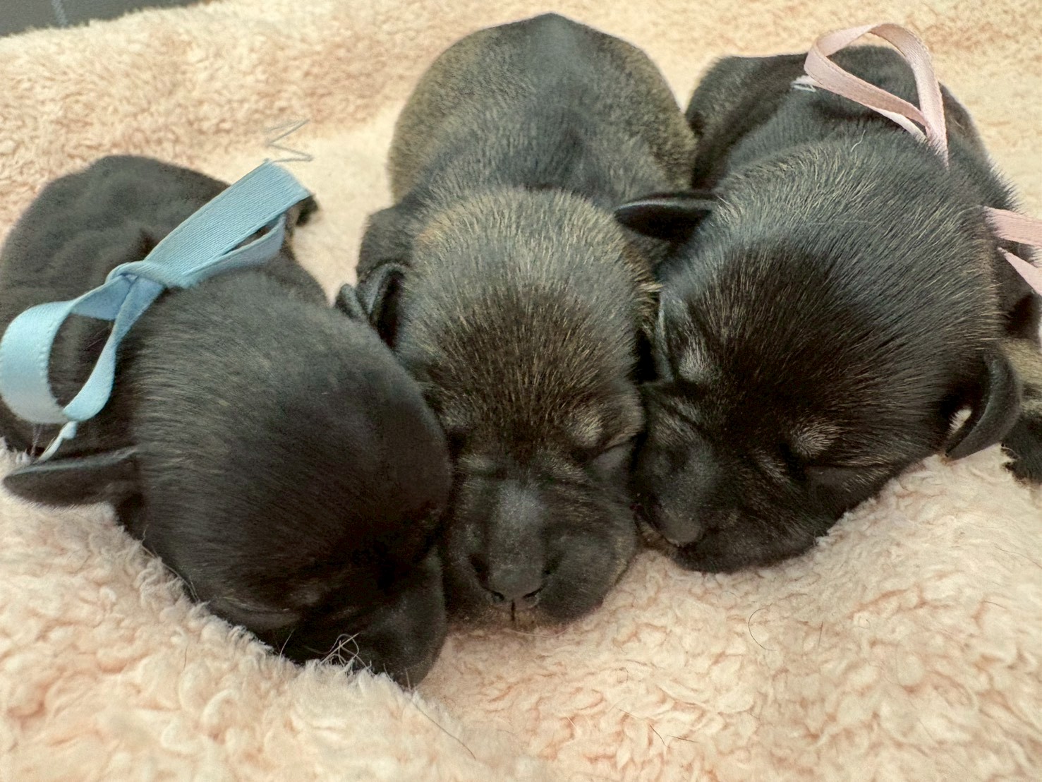 赤ちゃん写真1-3