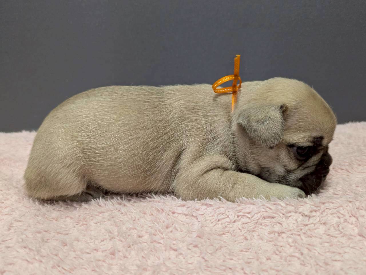 赤ちゃん写真2-2