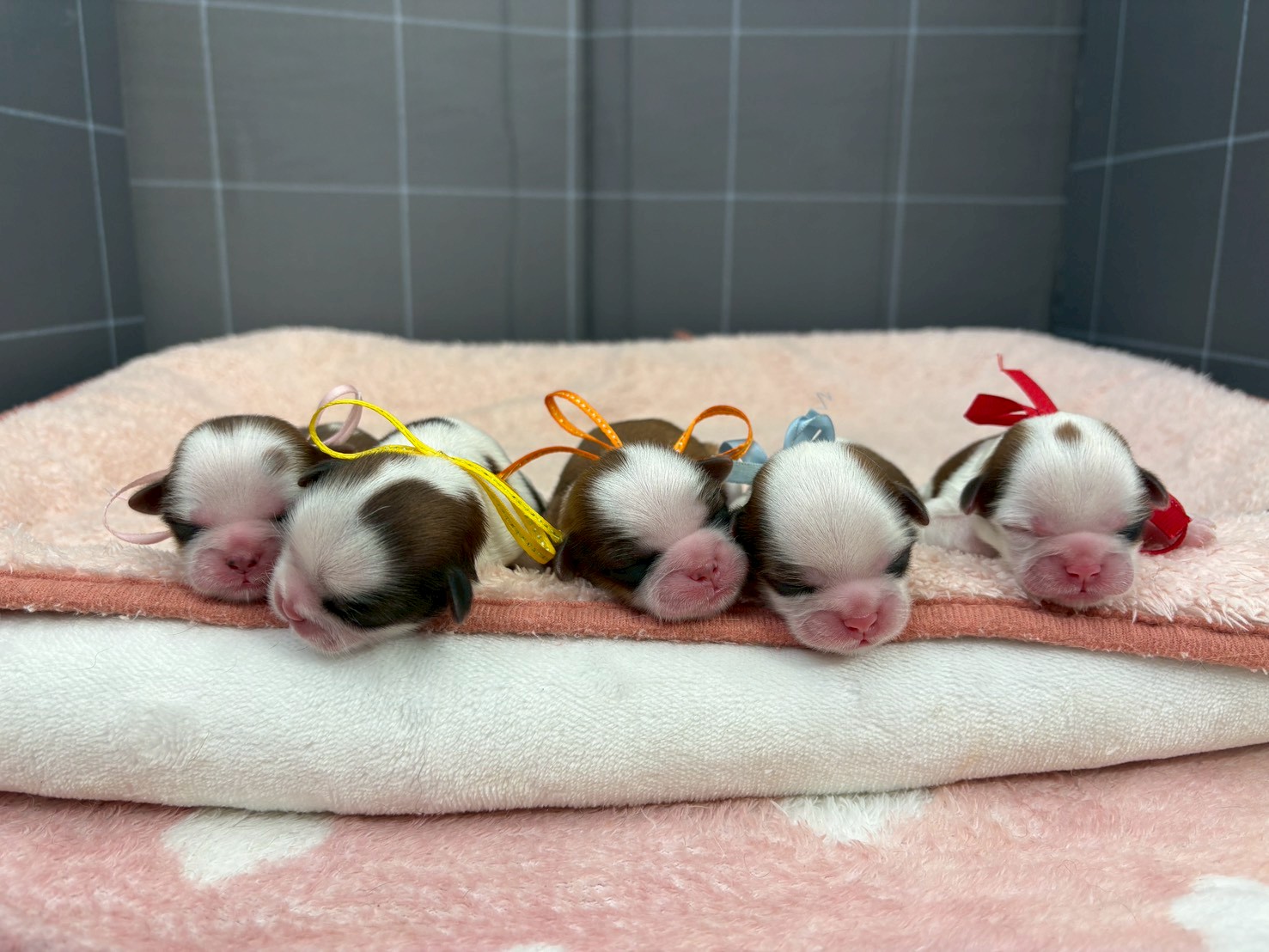 赤ちゃん写真1-3