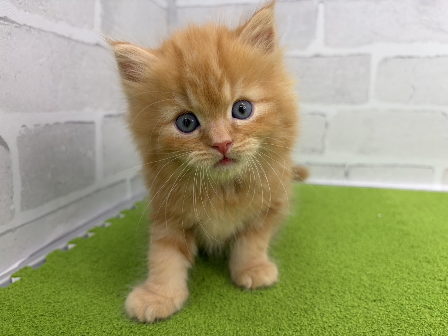 赤ちゃん写真2-1