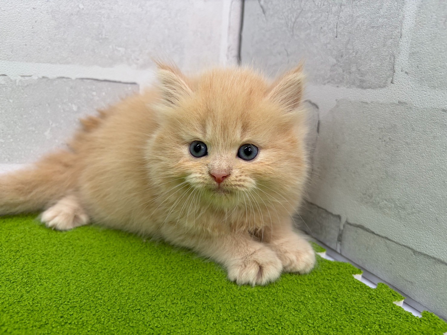 赤ちゃん写真2-1