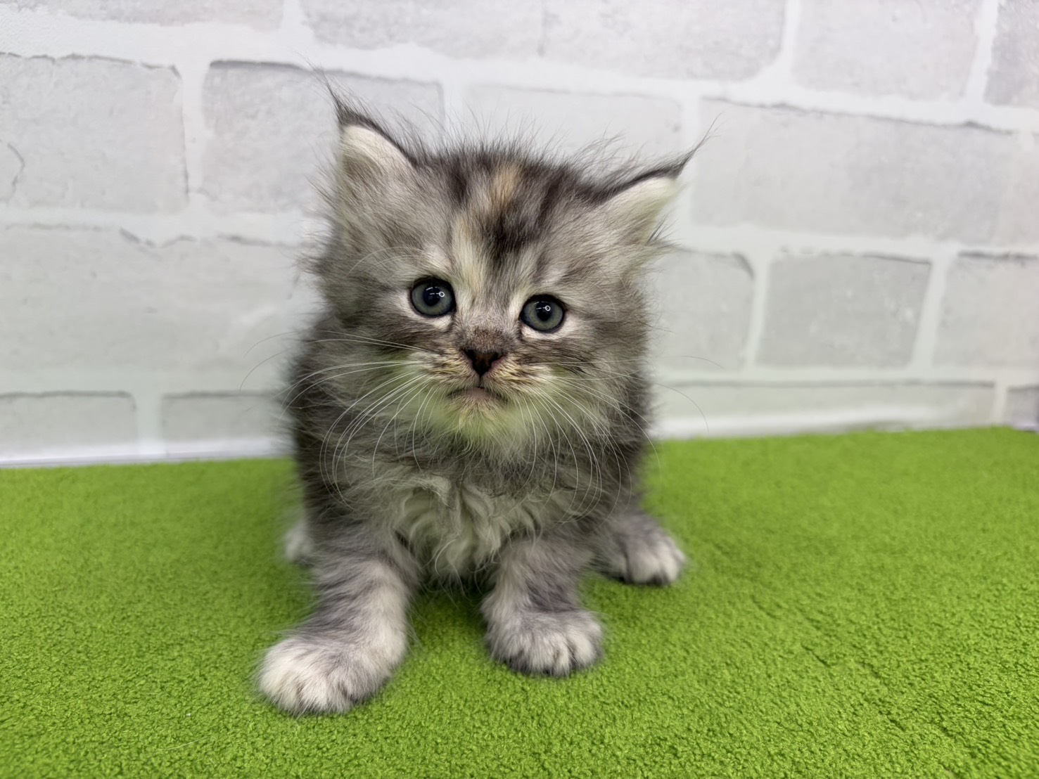 赤ちゃん写真2-1
