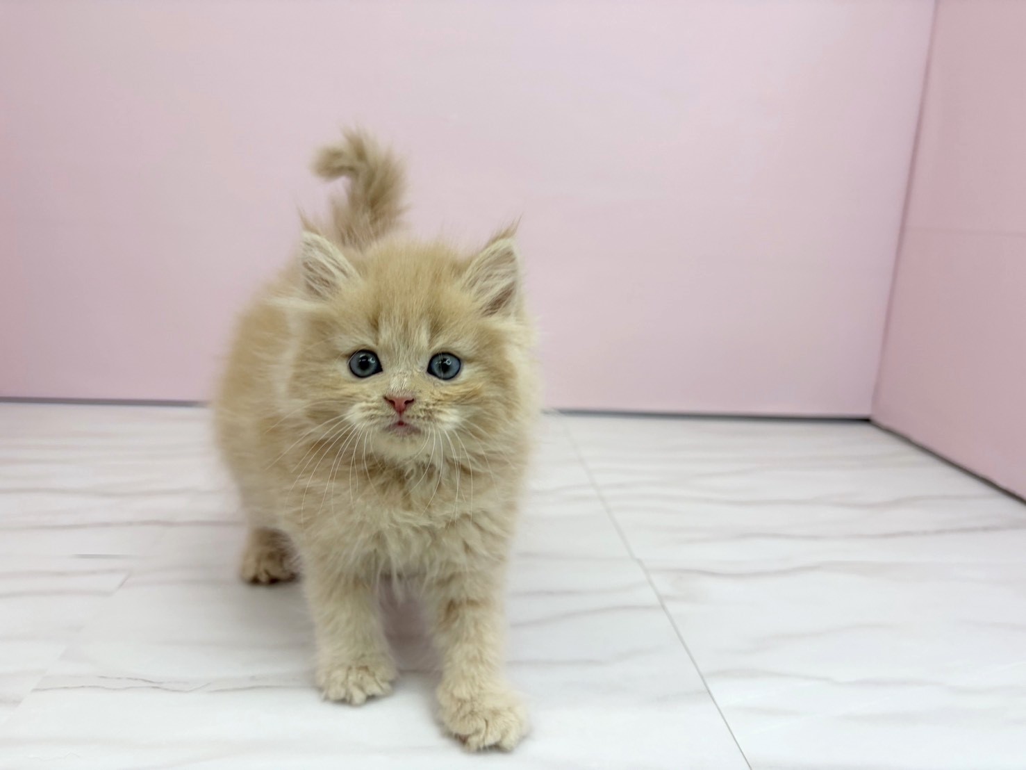 赤ちゃん写真3-1
