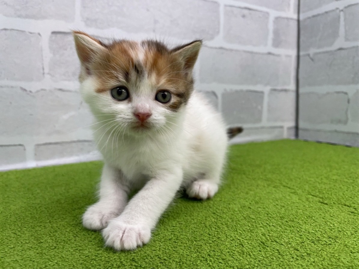 赤ちゃん写真2-1