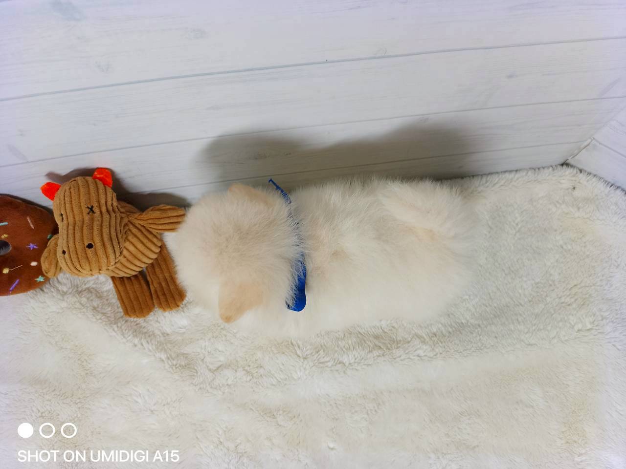 赤ちゃん写真2-3