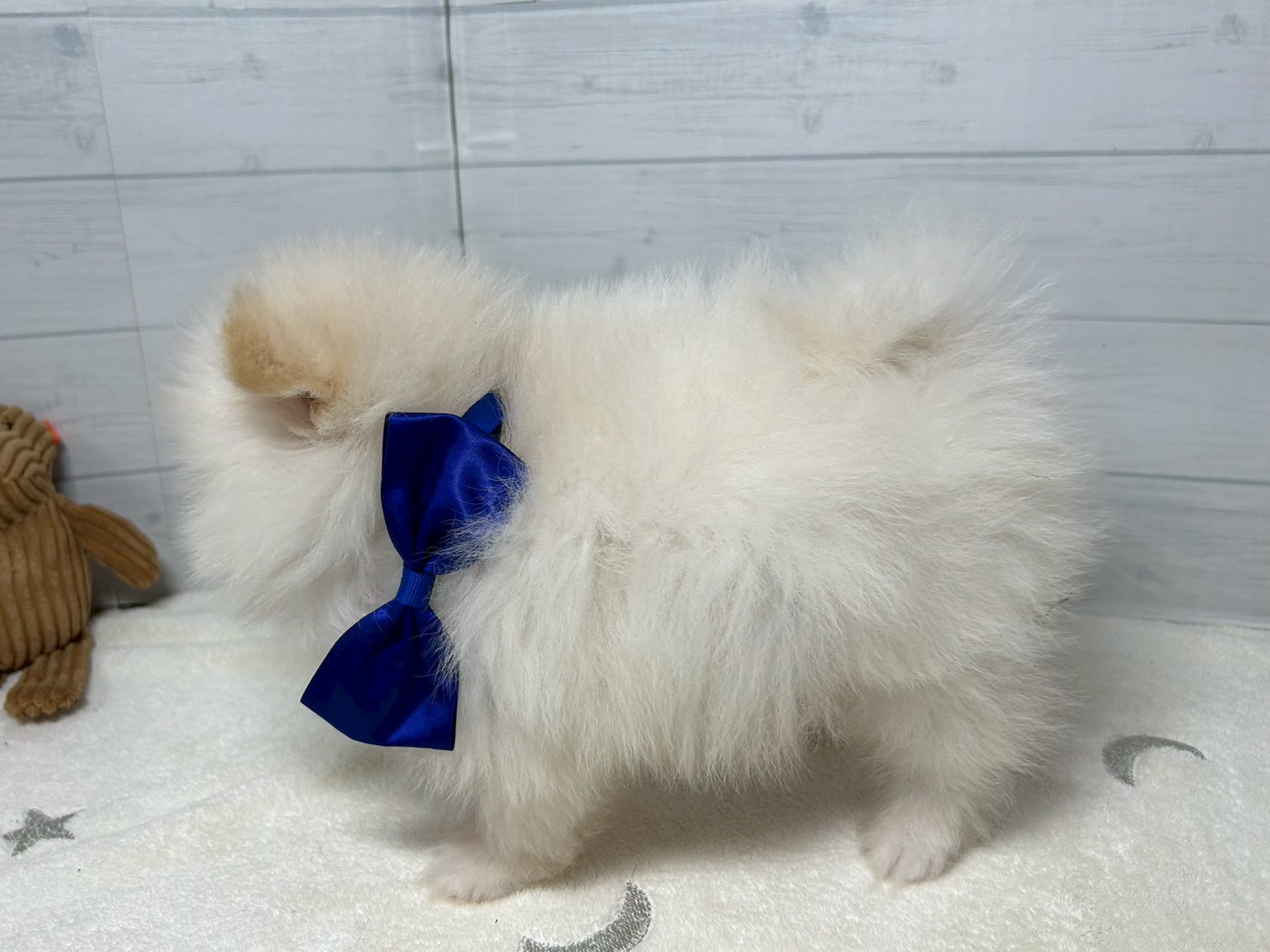 赤ちゃん写真3-2