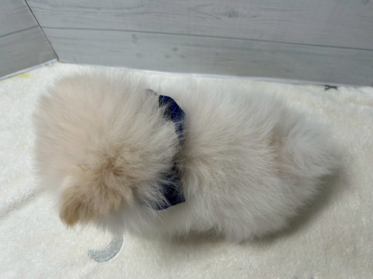 赤ちゃん写真3-3