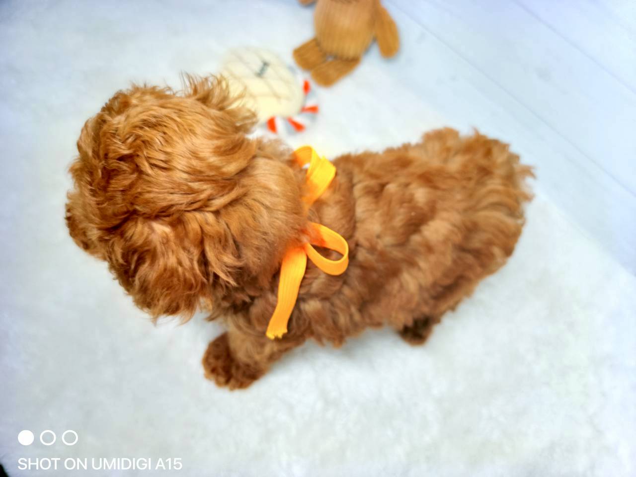 赤ちゃん写真3-3