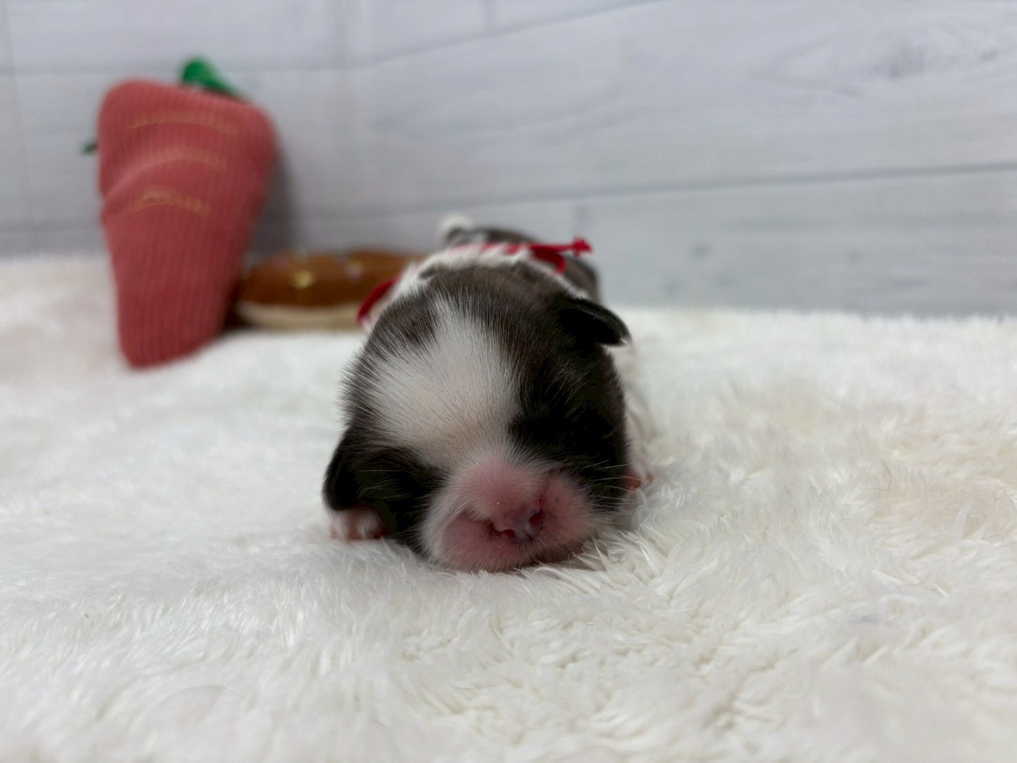 赤ちゃん写真1-1
