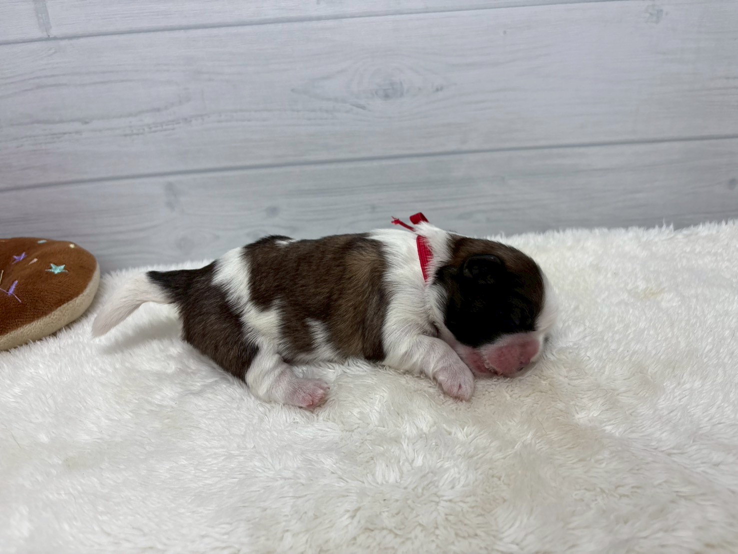 赤ちゃん写真1-2