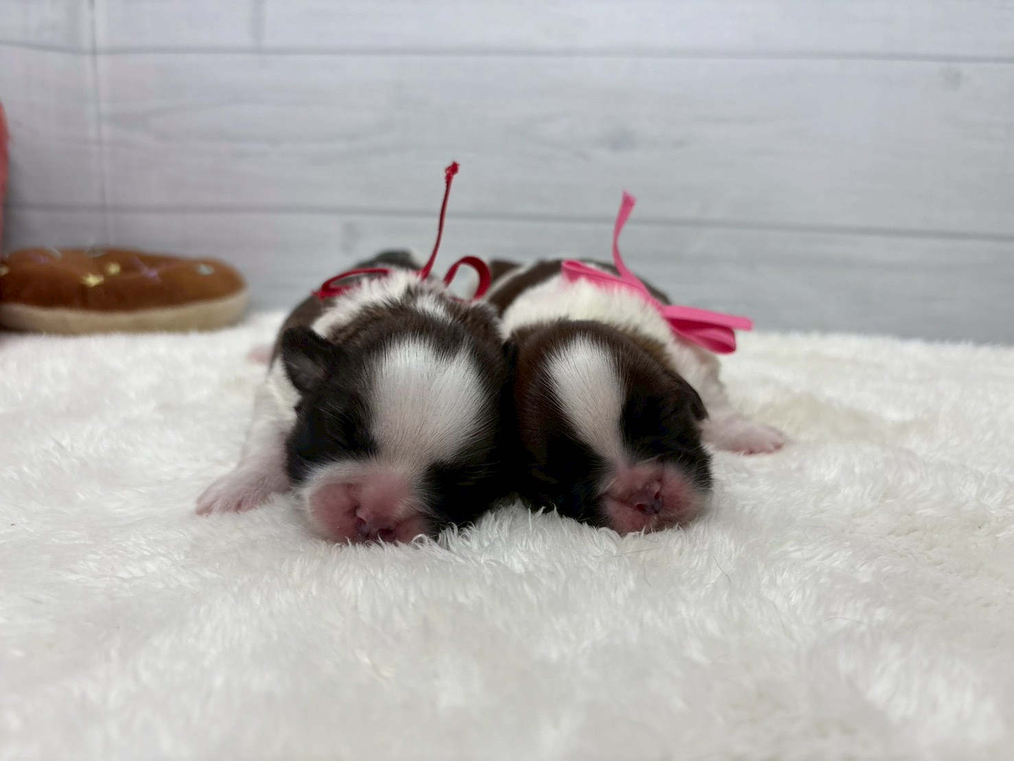 赤ちゃん写真1-3