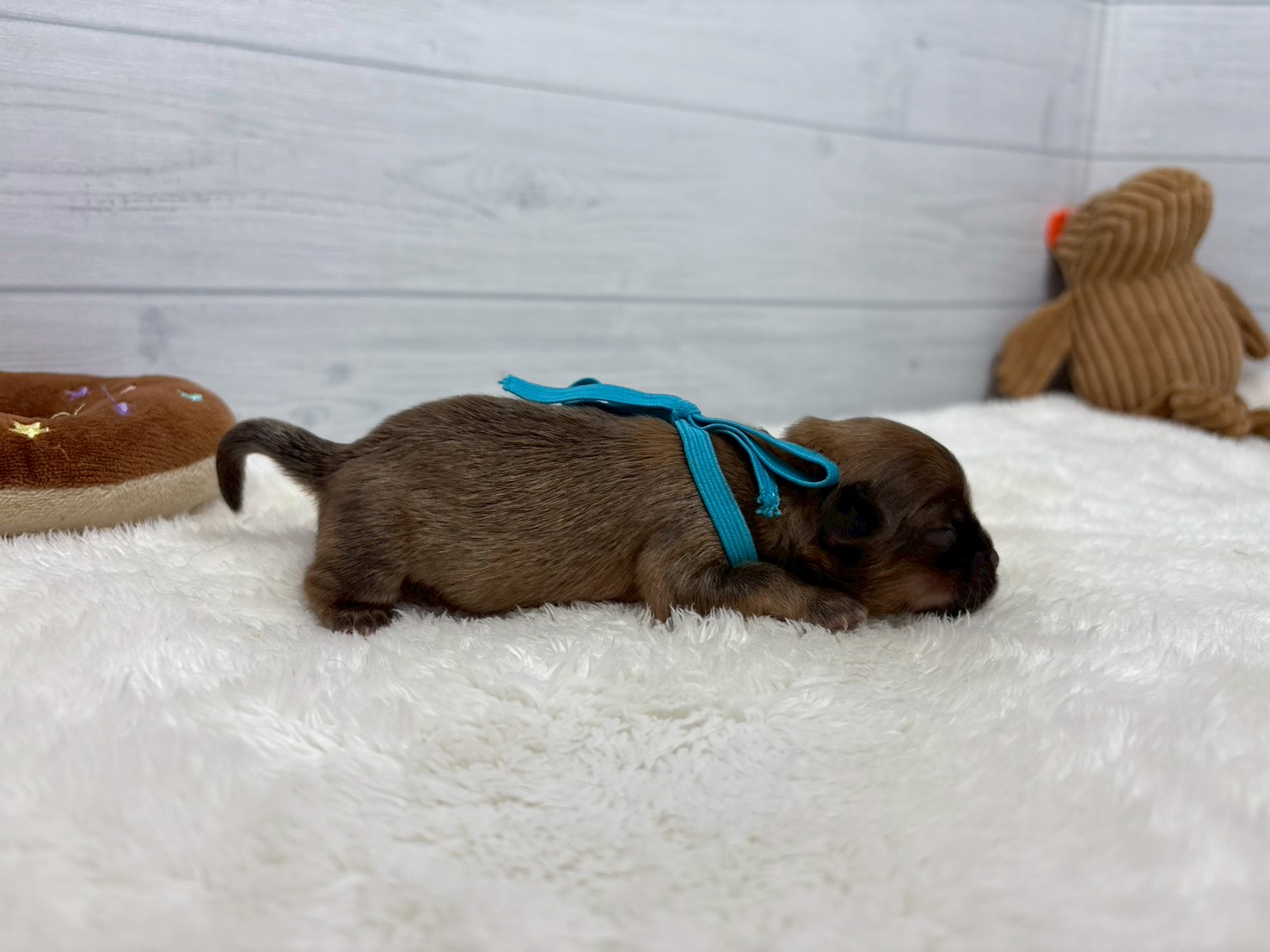 赤ちゃん写真1-2