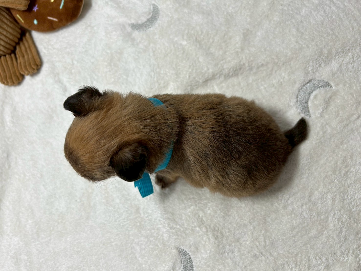 赤ちゃん写真2-3