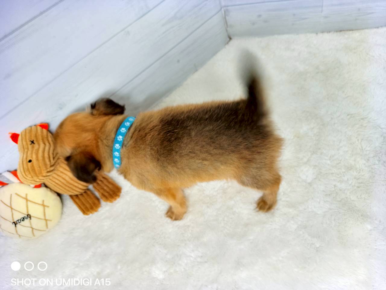 赤ちゃん写真3-3