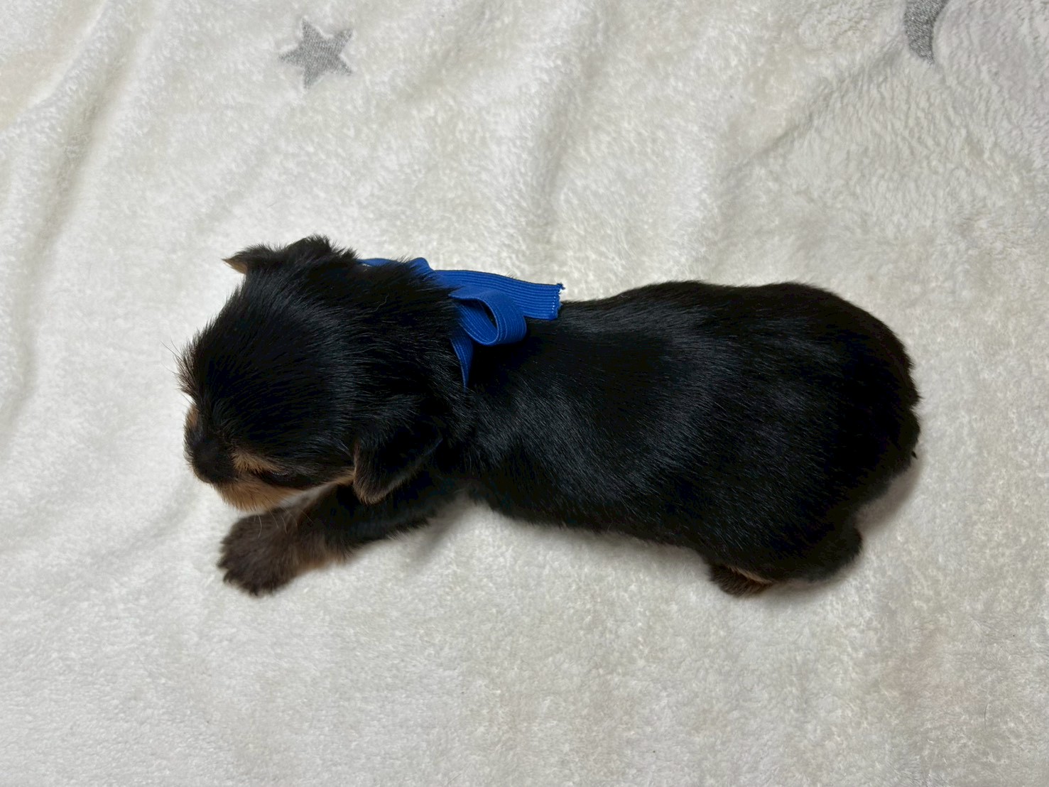 赤ちゃん写真2-3