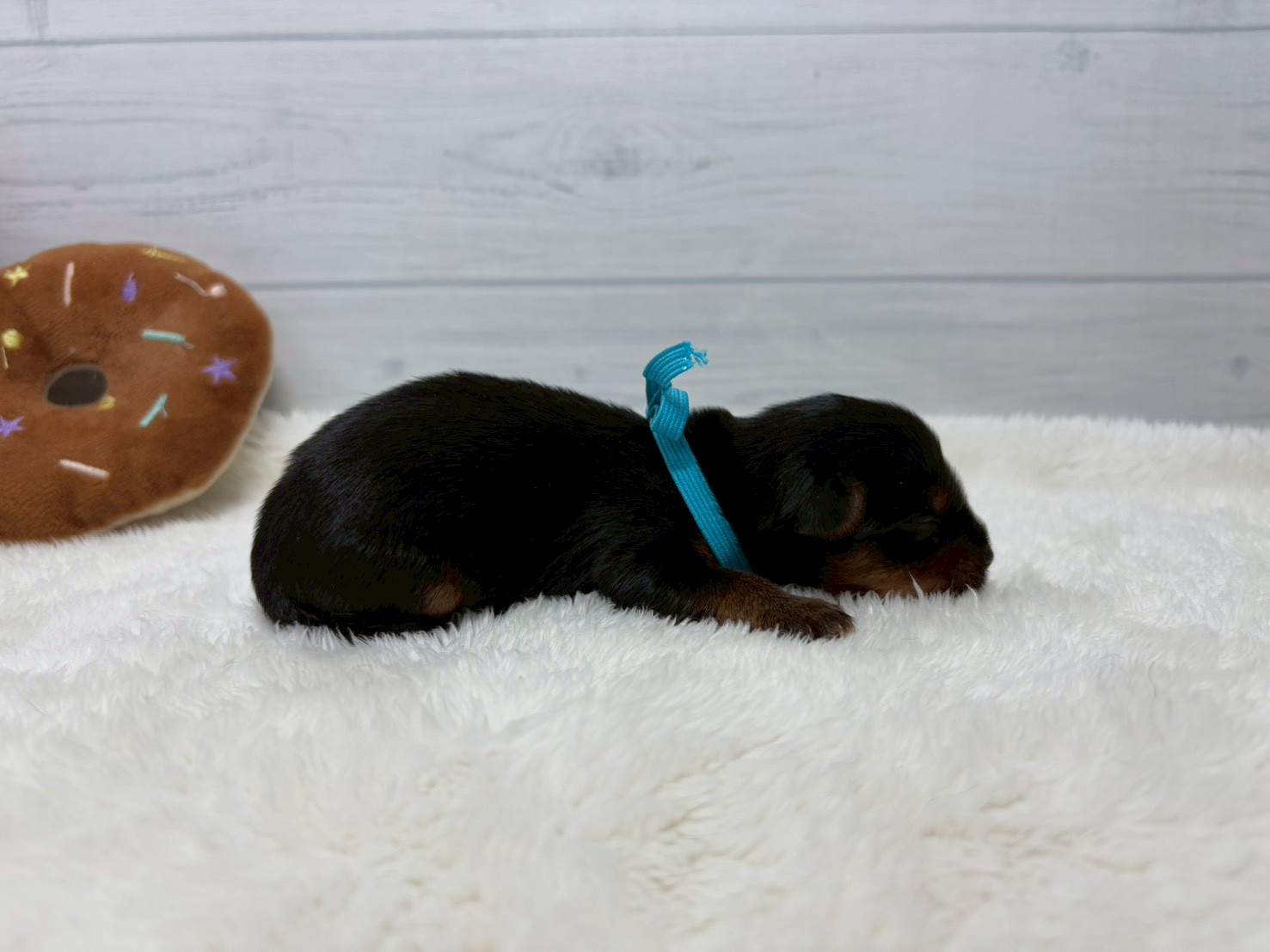 赤ちゃん写真1-3