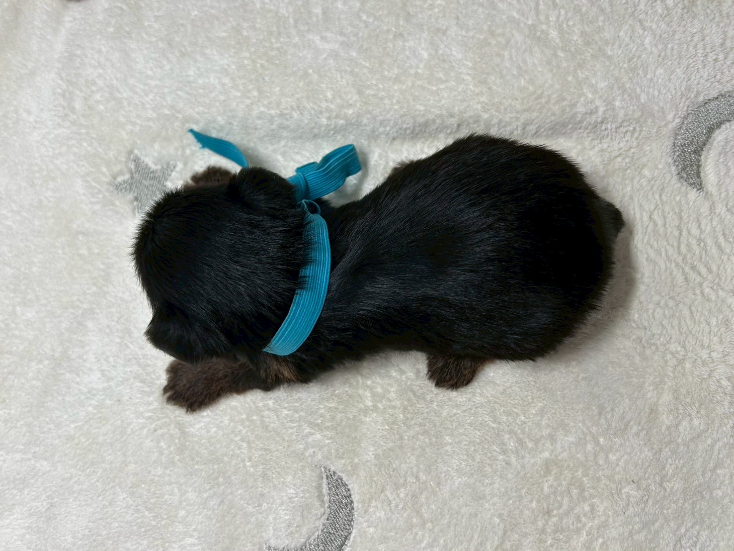 赤ちゃん写真2-3