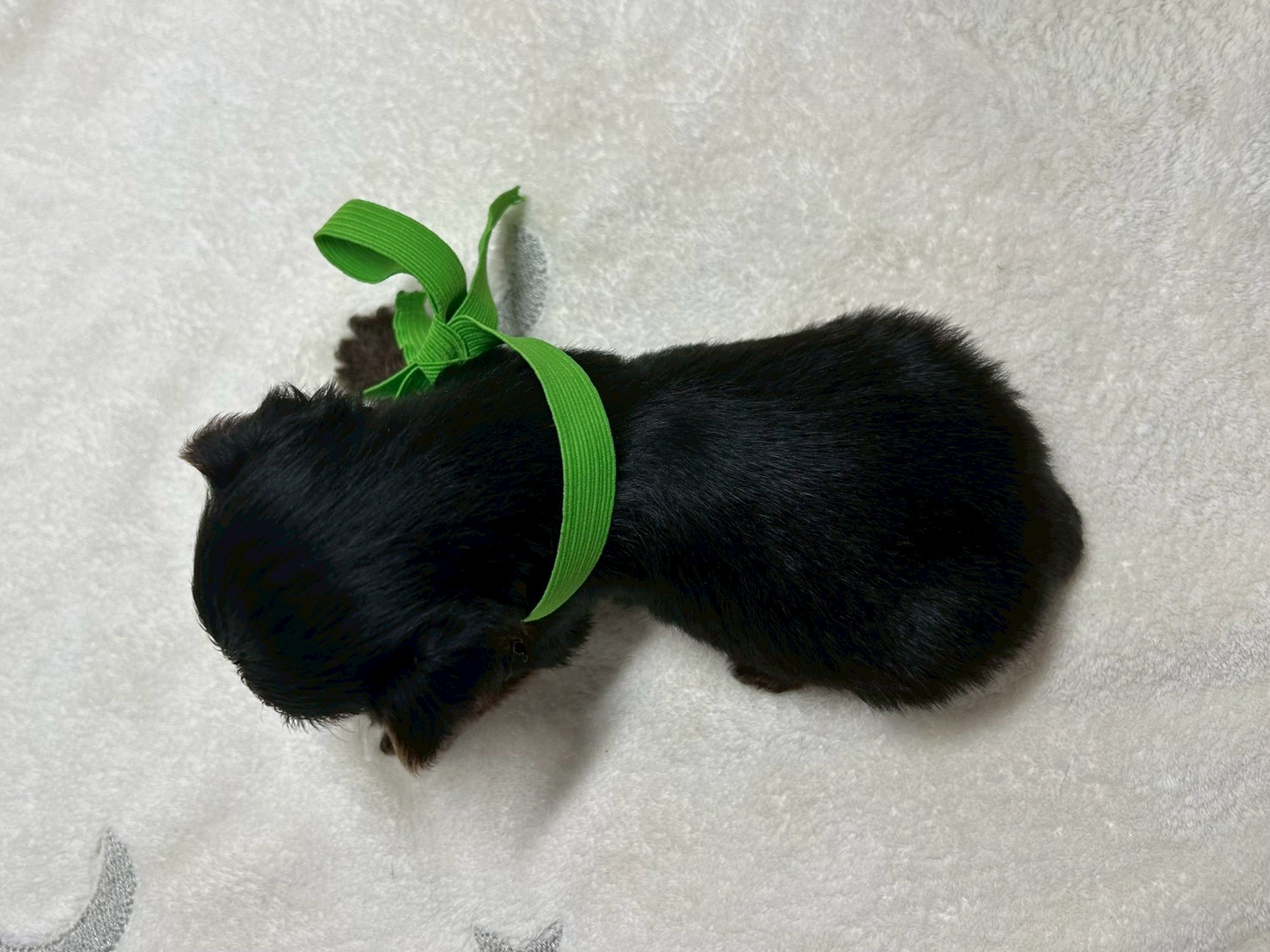 赤ちゃん写真2-3