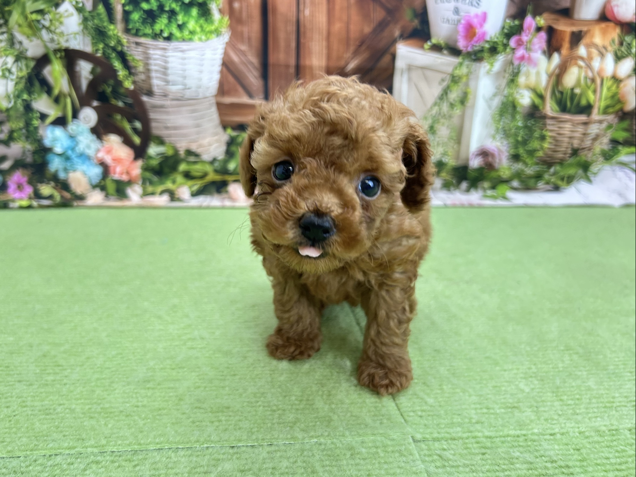 赤ちゃん写真3-1