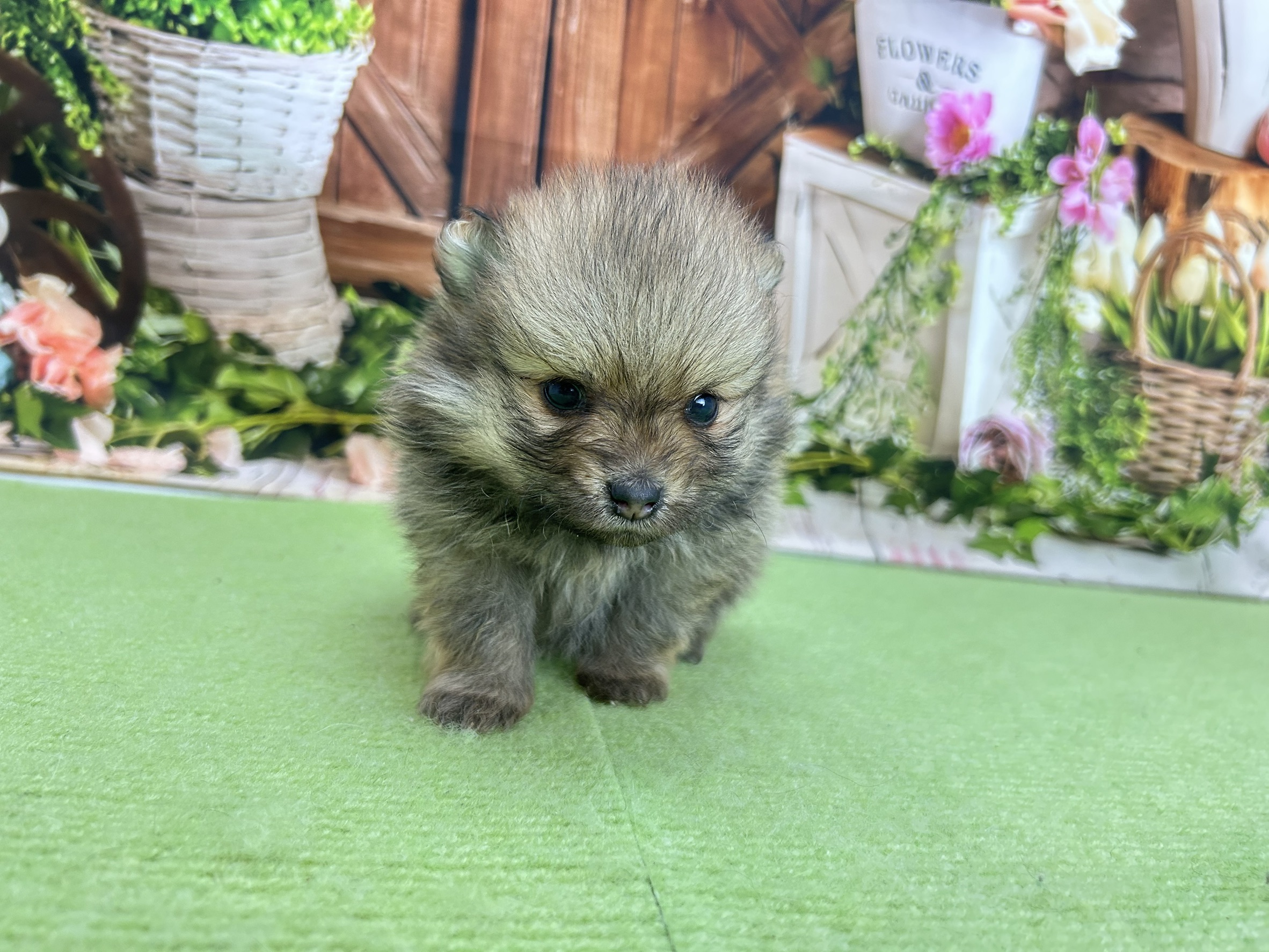赤ちゃん写真2-1