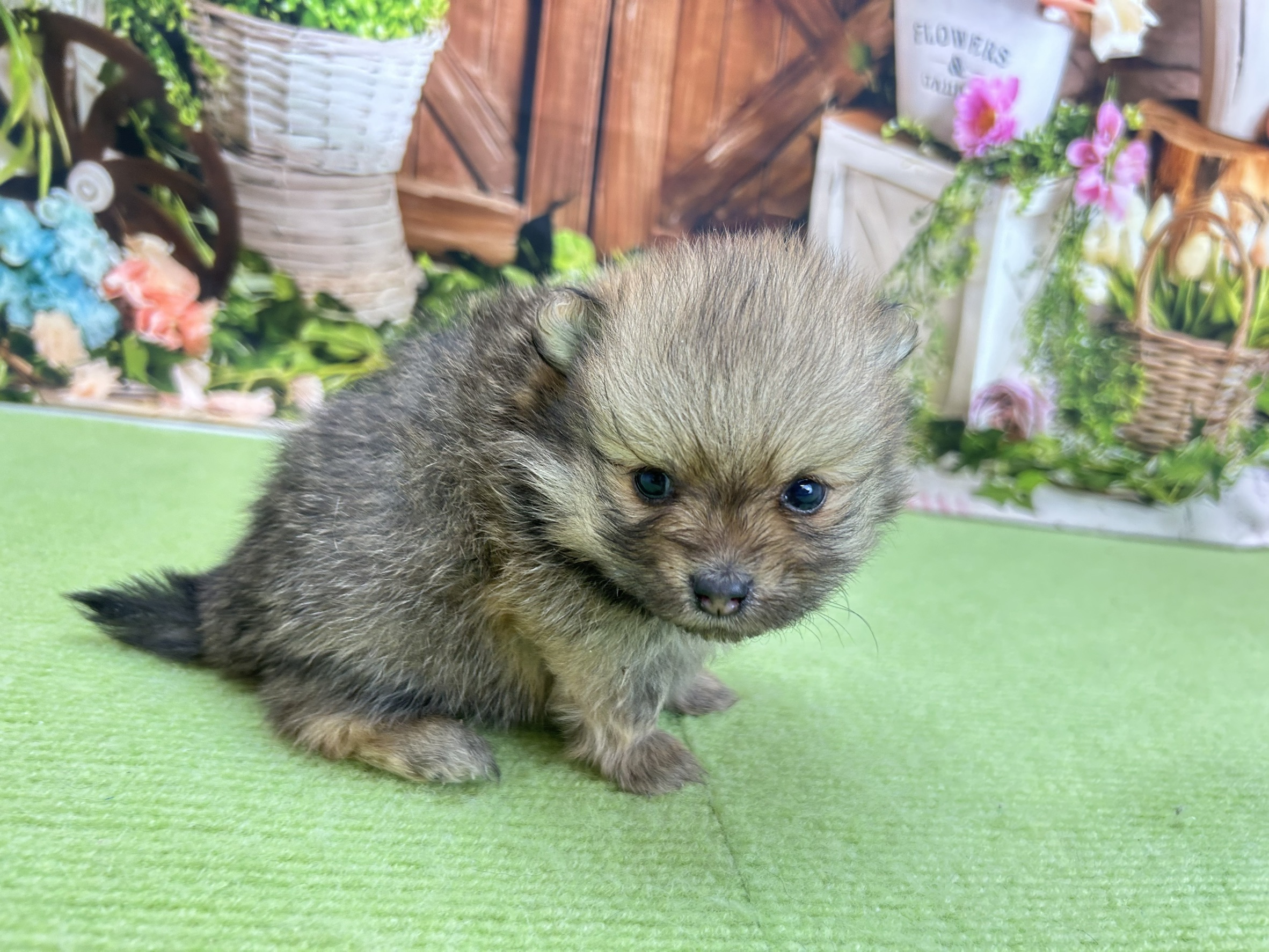 赤ちゃん写真2-2