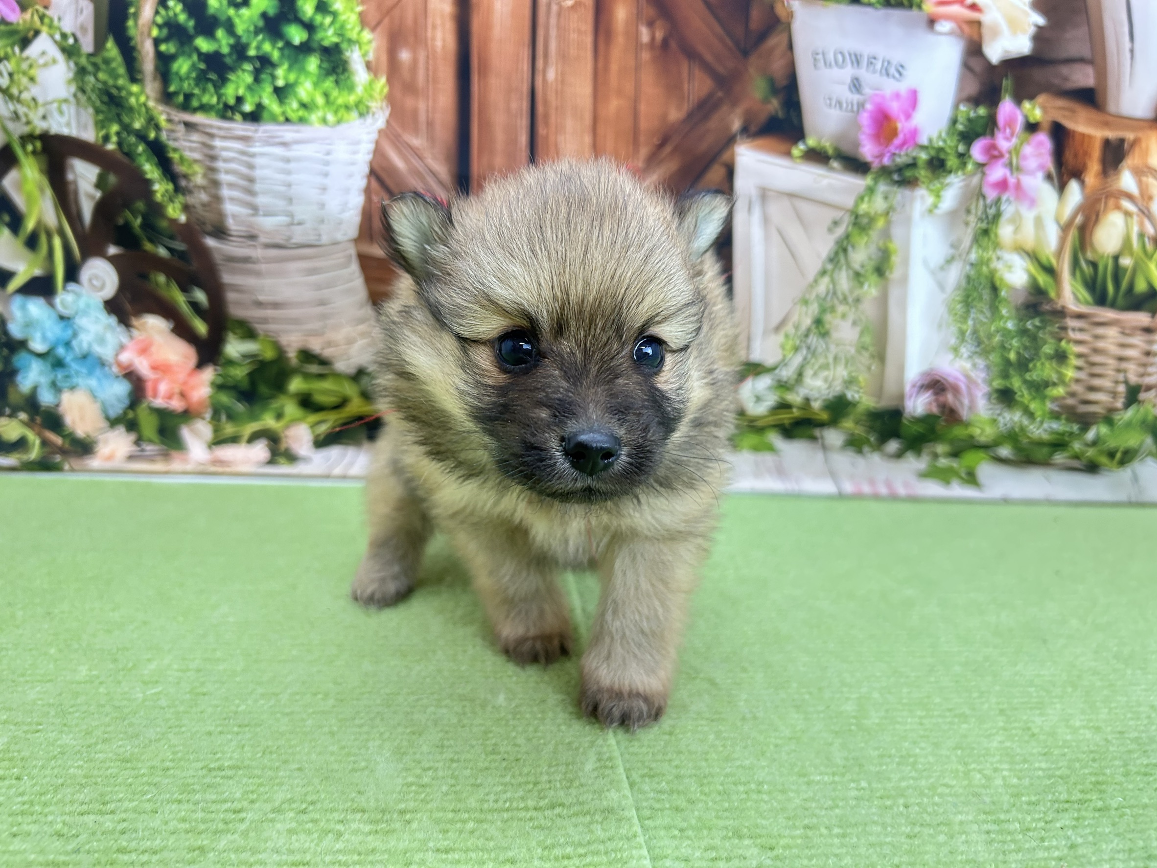 赤ちゃん写真2-1