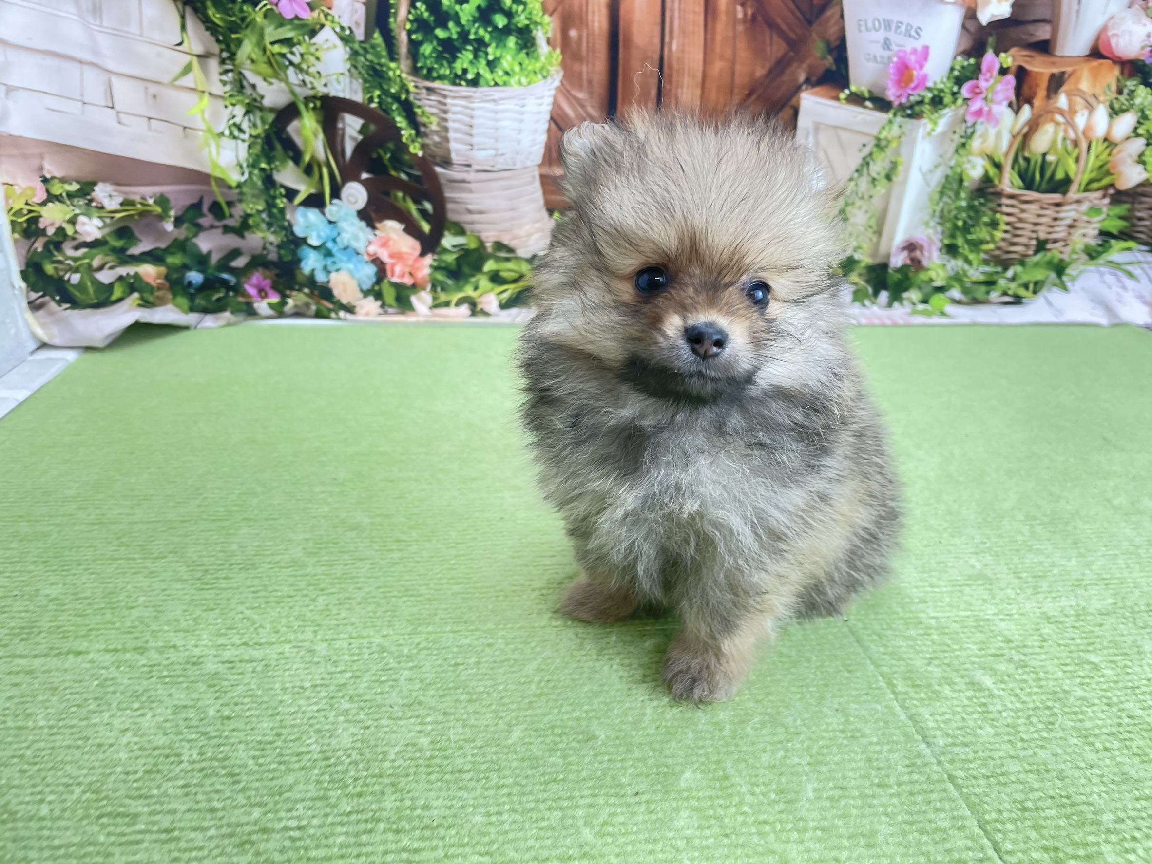 赤ちゃん写真3-1