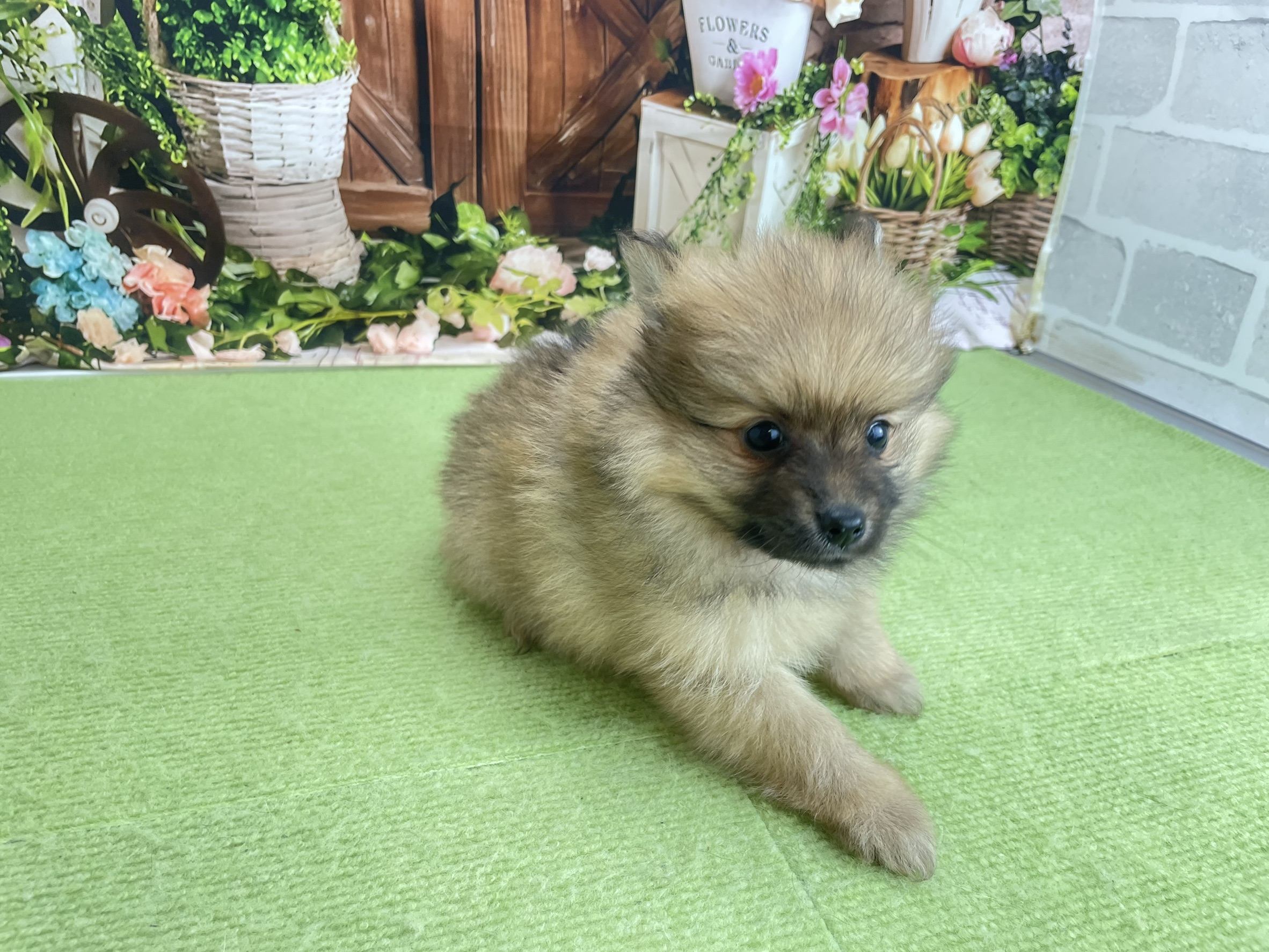 赤ちゃん写真3-2