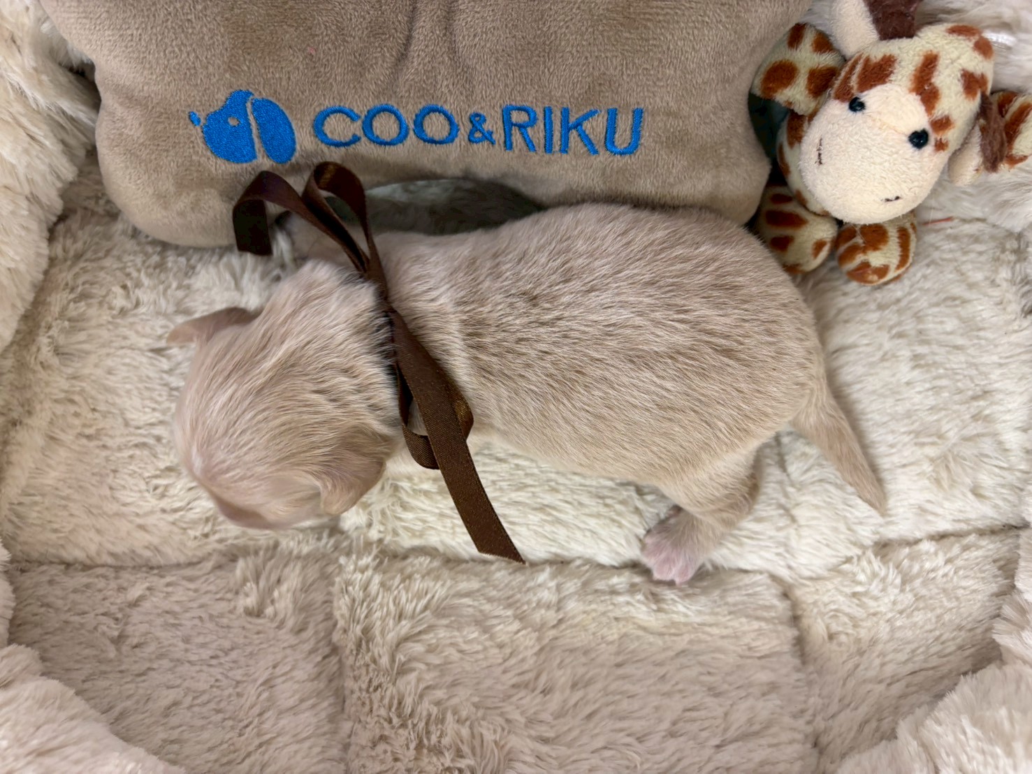 赤ちゃん写真1-3