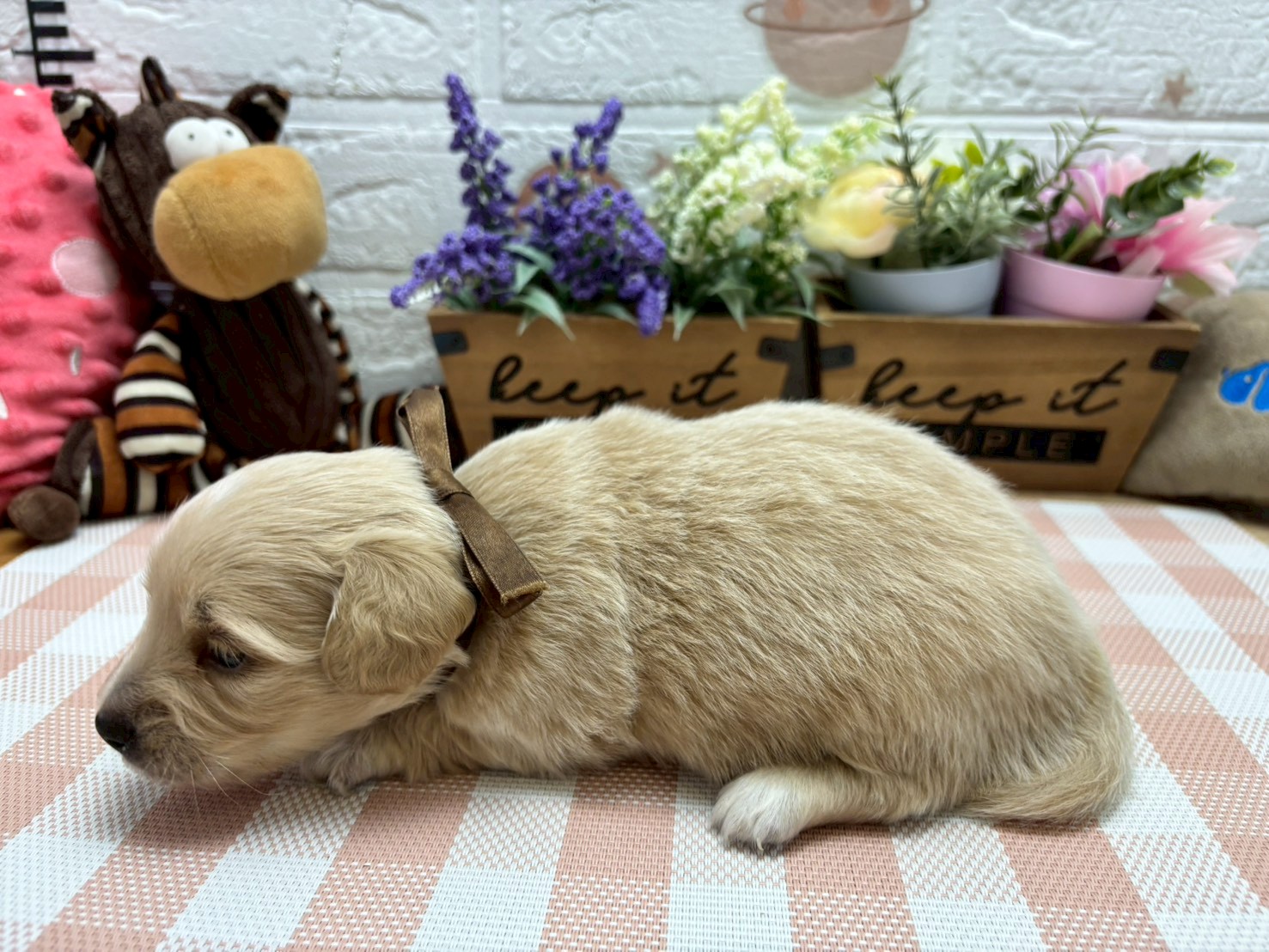赤ちゃん写真2-2
