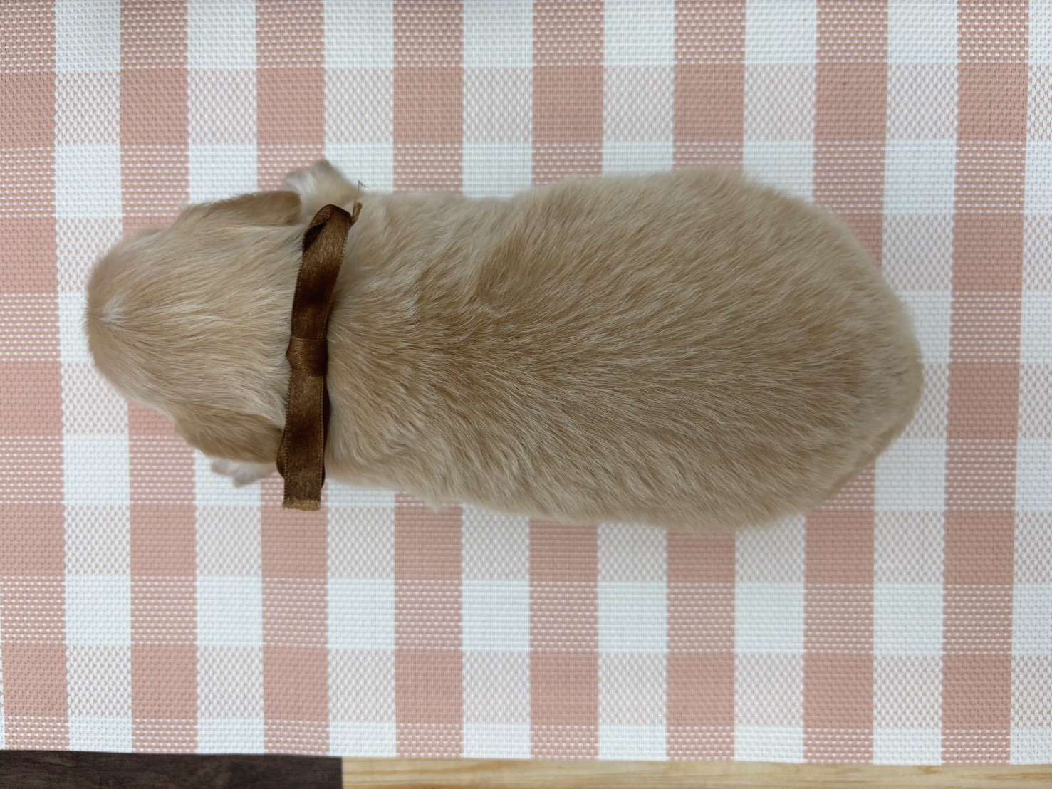 赤ちゃん写真2-3