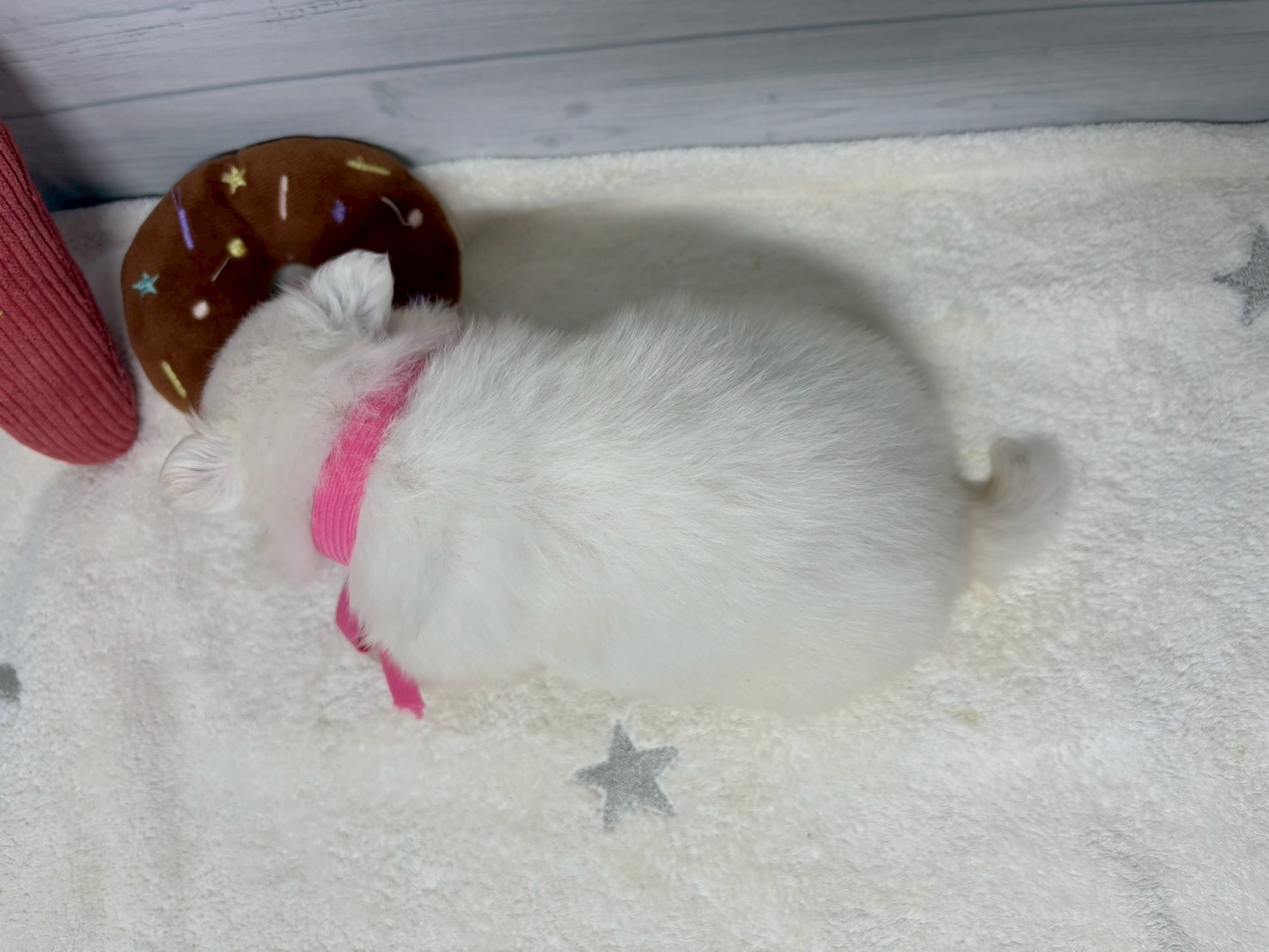 赤ちゃん写真2-3