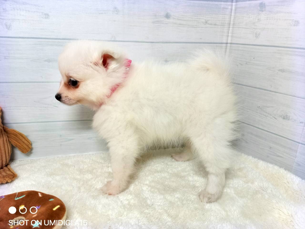 赤ちゃん写真3-2