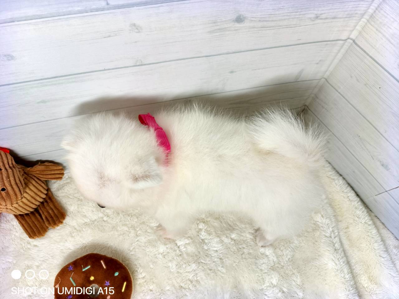 赤ちゃん写真3-3