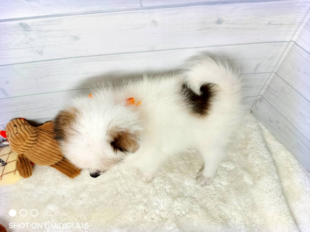赤ちゃん写真3-3