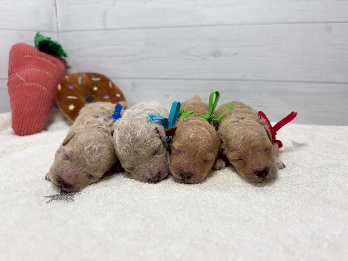 赤ちゃん写真1-3