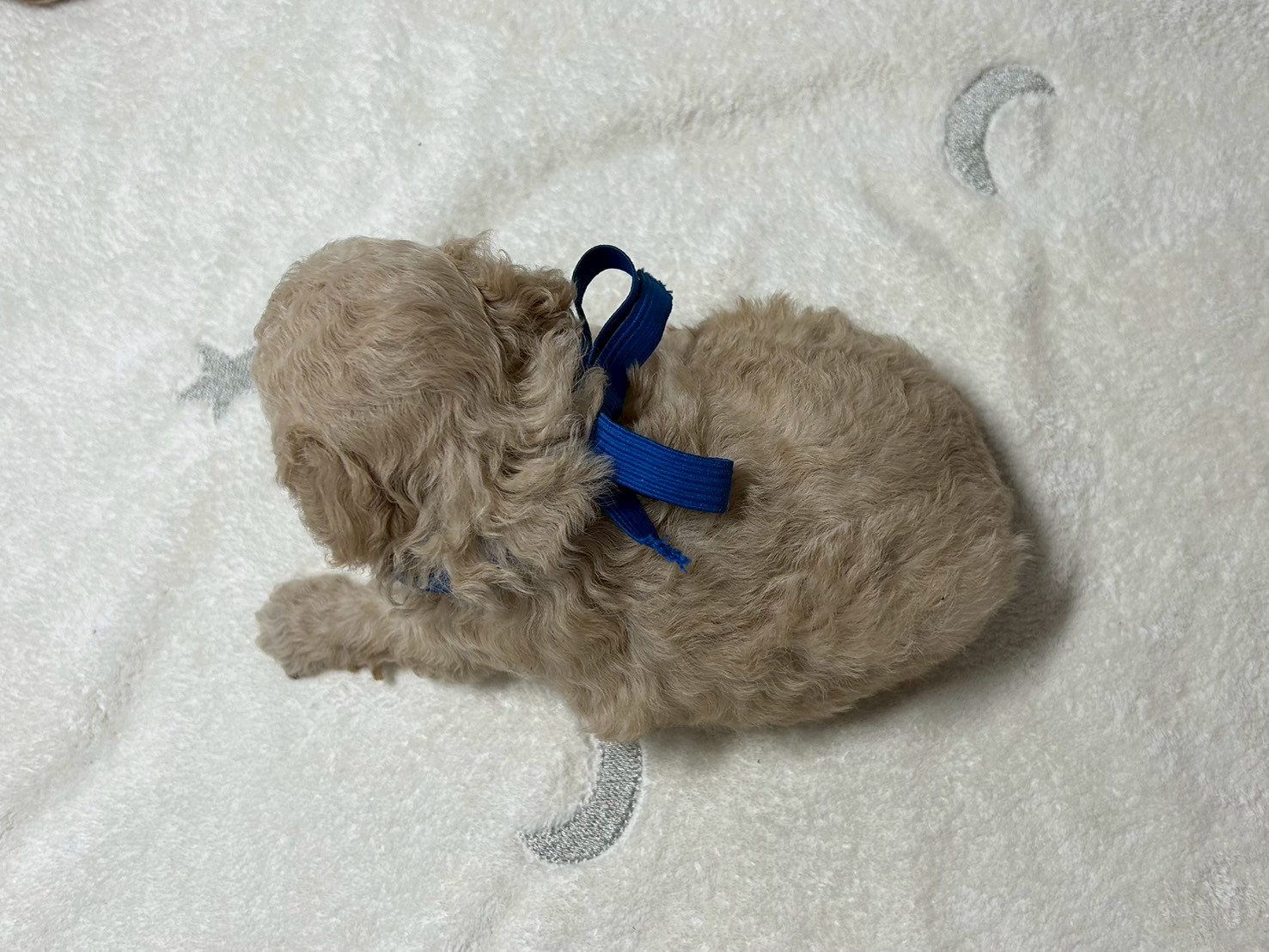 赤ちゃん写真2-3
