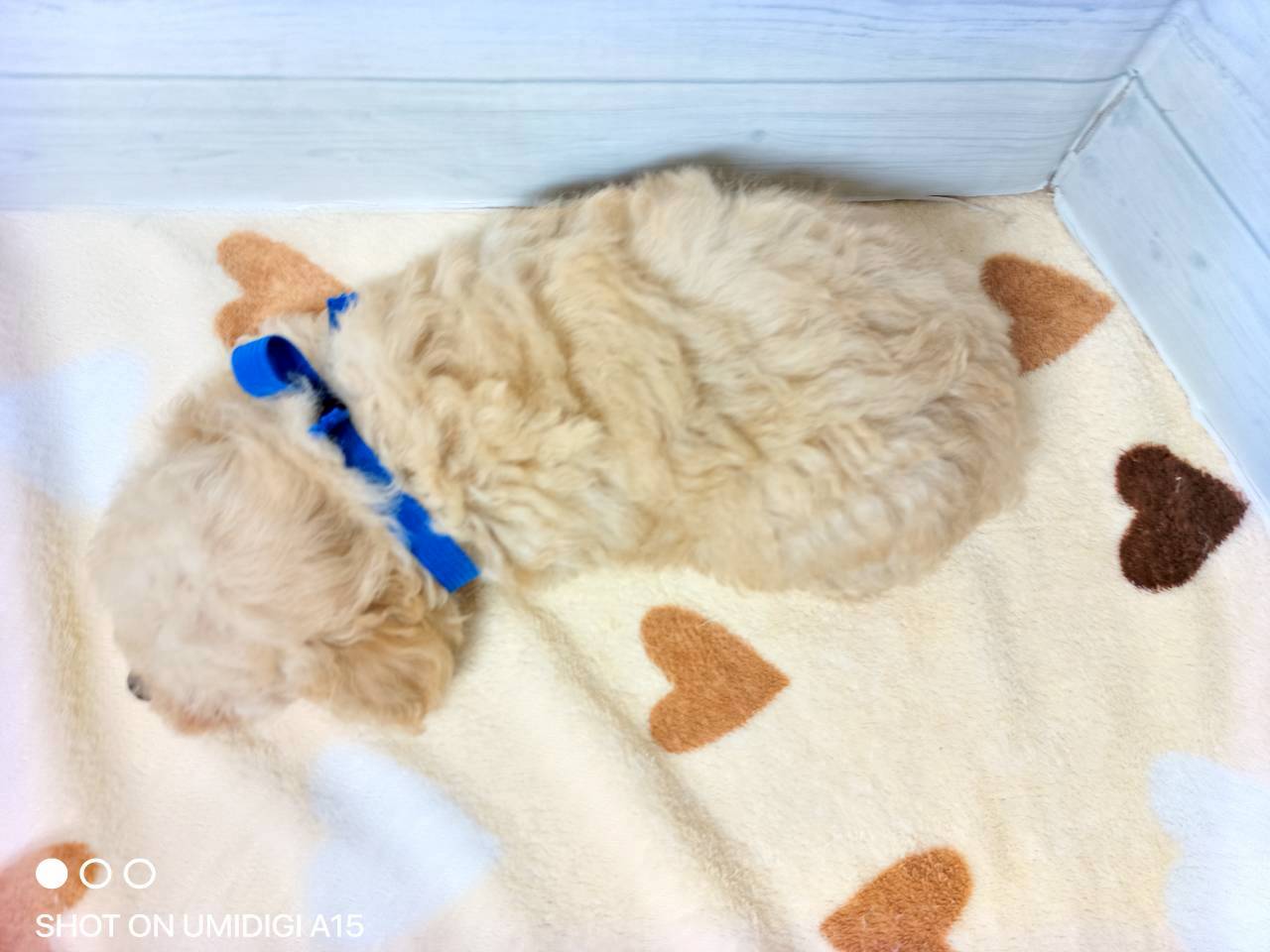赤ちゃん写真3-3