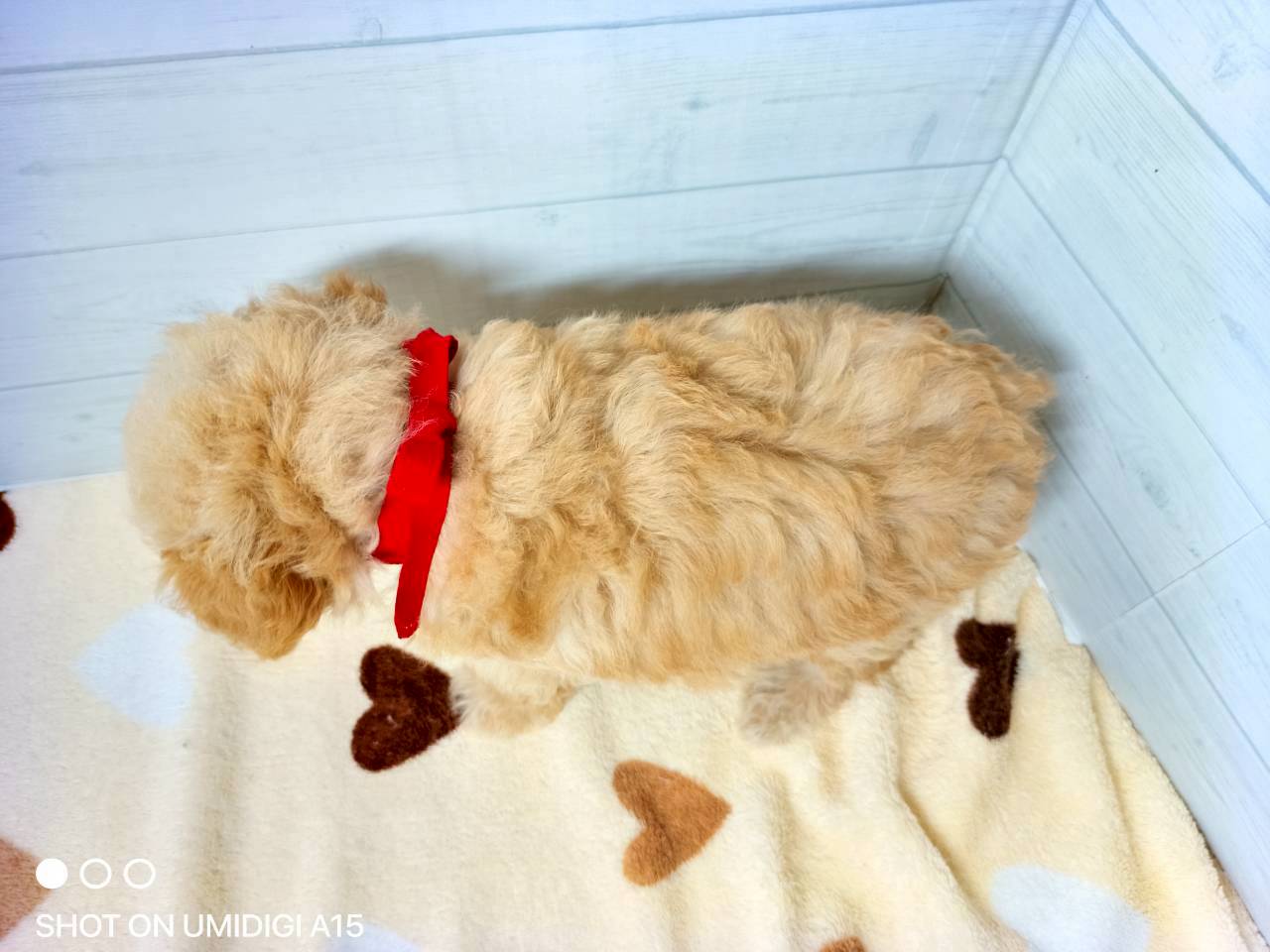 赤ちゃん写真3-3