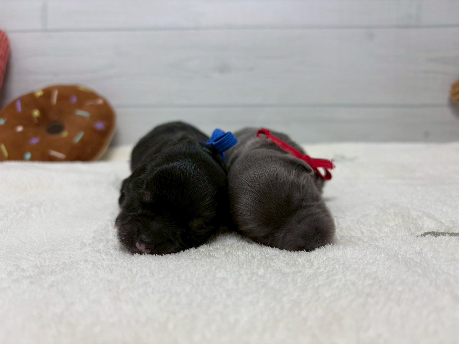 赤ちゃん写真1-3