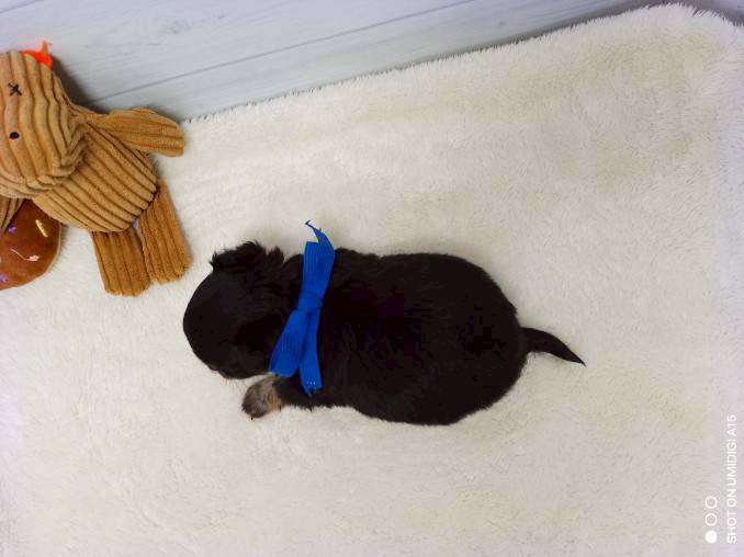 赤ちゃん写真2-3