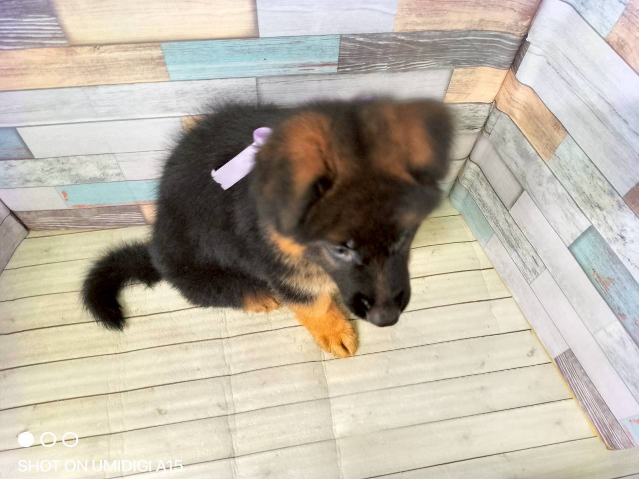 赤ちゃん写真3-3