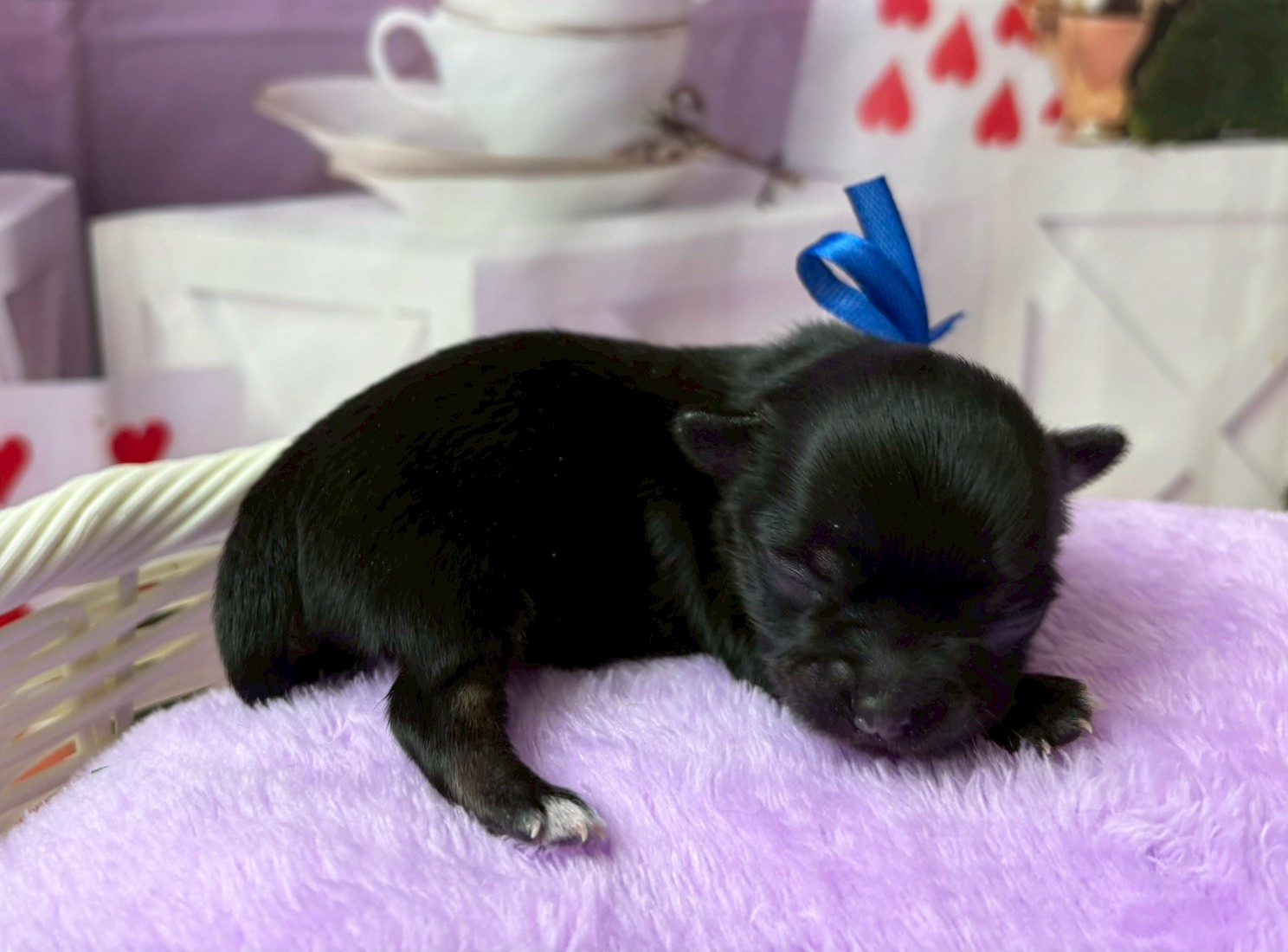 赤ちゃん写真1-2