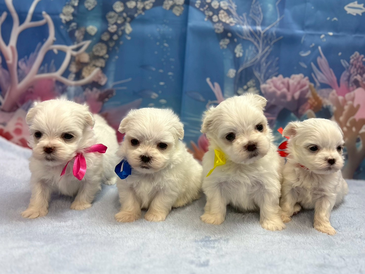 赤ちゃん写真1-3