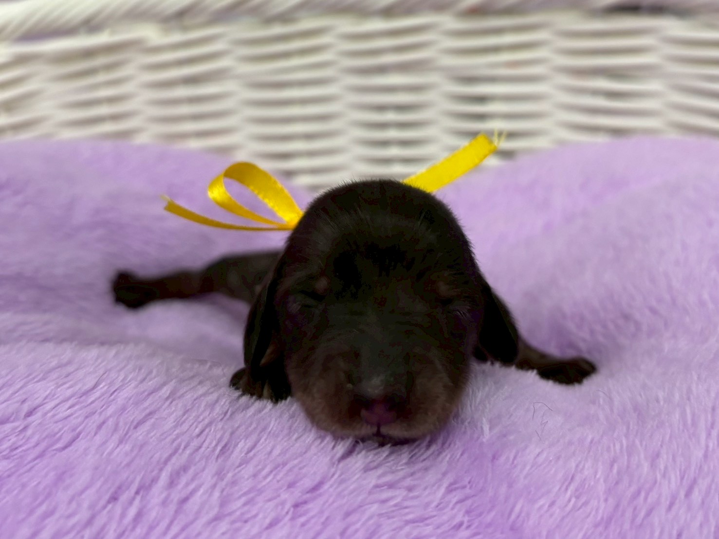 赤ちゃん写真1-1