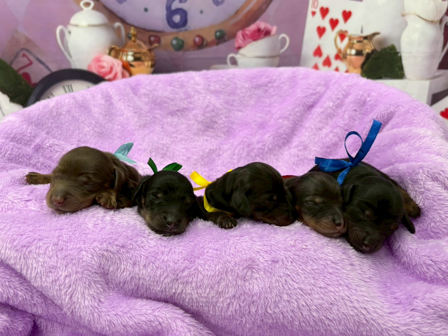 赤ちゃん写真1-3