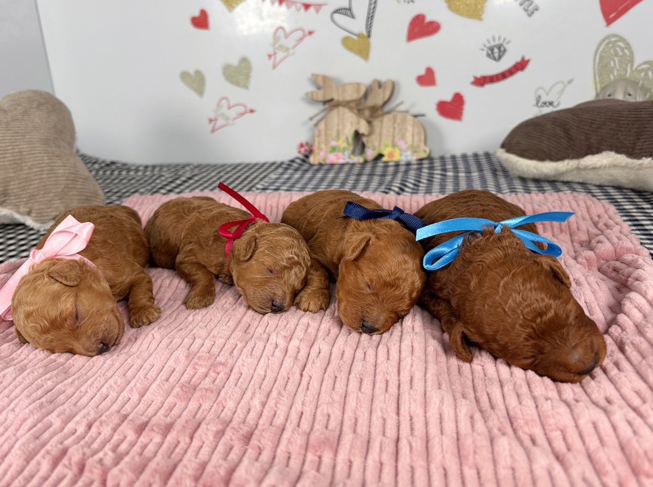 赤ちゃん写真1-3