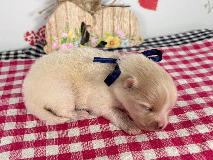 赤ちゃん写真1-2