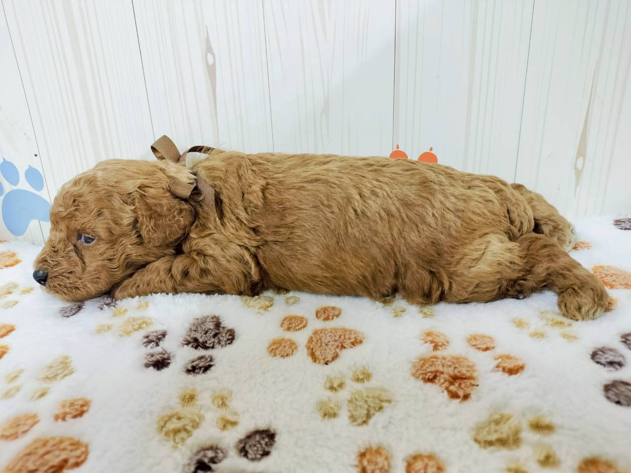 赤ちゃん写真2-2