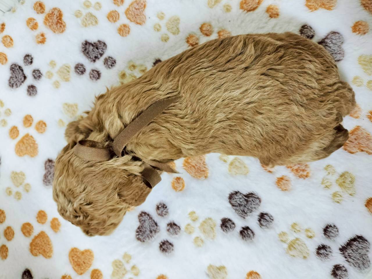 赤ちゃん写真2-3